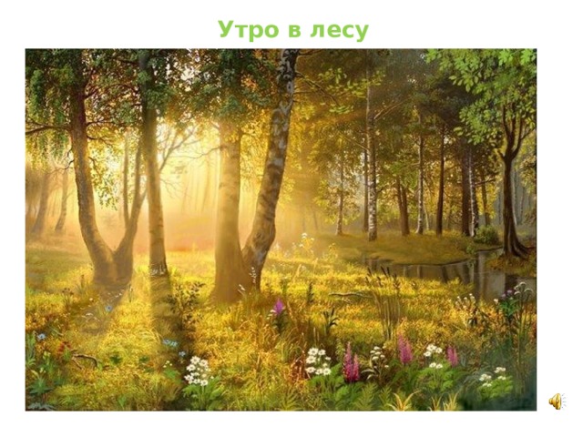 Утро в лесу 