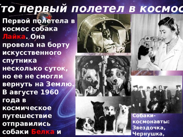 Кто первый полетел в космос? Первой полетела в космос собака Лайка . Она провела на борту искусственного спутника несколько суток, но ее не смогли вернуть на Землю. В августе 1960 года в космическое путешествие отправились собаки Белка и Стрелка . После полета животные вернулись на родную планету и чувствовали себя прекрасно. Собаки-космонавты: Звездочка, Чернушка, Стрелка и Белка. 