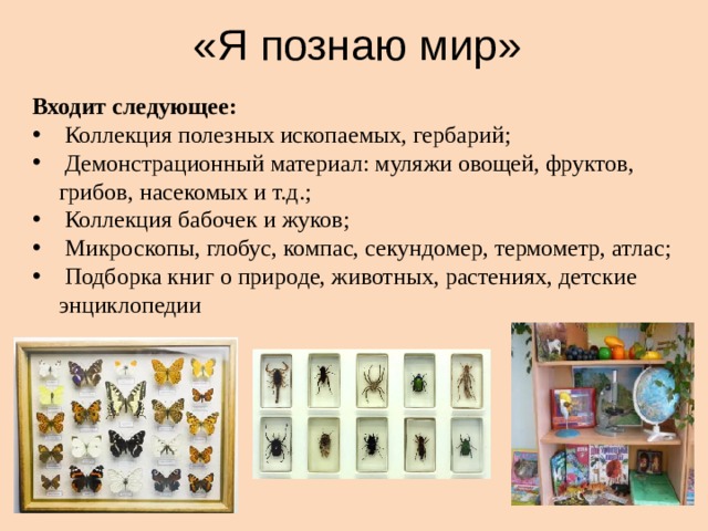 «Я познаю мир» Входит следующее:  Коллекция полезных ископаемых, гербарий;  Демонстрационный материал: муляжи овощей, фруктов, грибов, насекомых и т.д.;  Коллекция бабочек и жуков;  Микроскопы, глобус, компас, секундомер, термометр, атлас;  Подборка книг о природе, животных, растениях, детские энциклопедии 