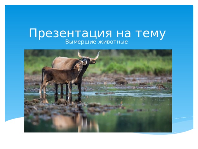 Презентация на тему Вымершие животные 