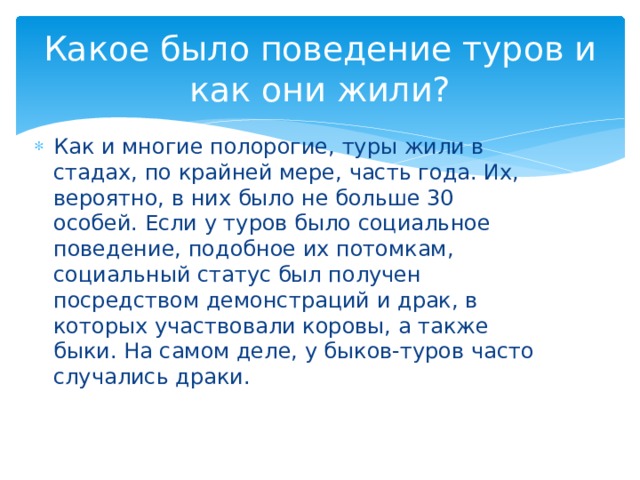 Какое было поведение туров и как они жили? Как и многие полорогие, туры жили в стадах, по крайней мере, часть года. Их, вероятно, в них было не больше 30 особей. Если у туров было социальное поведение, подобное их потомкам, социальный статус был получен посредством демонстраций и драк, в которых участвовали коровы, а также быки. На самом деле, у быков-туров часто случались драки. 