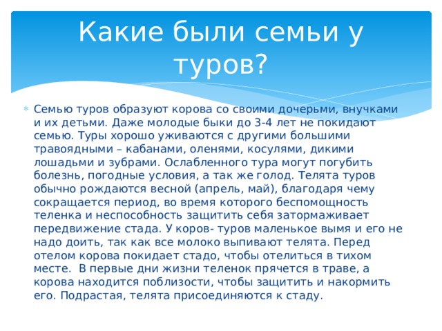 Какие были семьи у туров? Семью туров образуют корова со своими дочерьми, внучками и их детьми. Даже молодые быки до 3-4 лет не покидают семью. Туры хорошо уживаются с другими большими травоядными – кабанами, оленями, косулями, дикими лошадьми и зубрами. Ослабленного тура могут погубить болезнь, погодные условия, а так же голод. Телята туров обычно рождаются весной (апрель, май), благодаря чему сокращается период, во время которого беспомощность теленка и неспособность защитить себя затормаживает передвижение стада. У коров- туров маленькое вымя и его не надо доить, так как все молоко выпивают телята. Перед отелом корова покидает стадо, чтобы отелиться в тихом месте.  В первые дни жизни теленок прячется в траве, а корова находится поблизости, чтобы защитить и накормить его. Подрастая, телята присоединяются к стаду. 