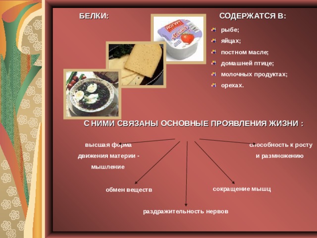 БЕЛКИ: СОДЕРЖАТСЯ В: рыбе; яйцах; постном масле; домашней птице; молочных продуктах; орехах. С НИМИ СВЯЗАНЫ ОСНОВНЫЕ ПРОЯВЛЕНИЯ ЖИЗНИ : способность к росту и размножению высшая форма движения материи - мышление сокращение мышц обмен веществ раздражительность нервов 