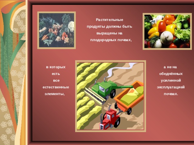 Растительные продукты должны быть выращены на  плодородных почвах, в которых  есть  все  естественные элементы, а не на  обеднённых усиленной эксплуатацией почвах. 