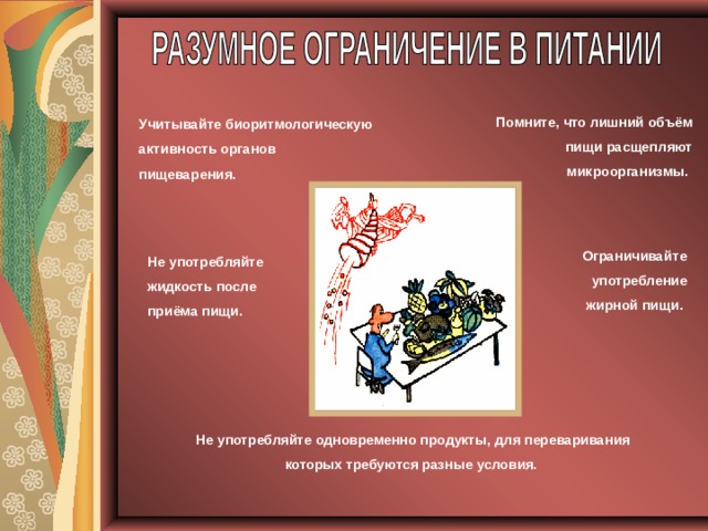 Помните, что лишний объём пищи расщепляют микроорганизмы. Учитывайте биоритмологическую активность органов пищеварения. Ограничивайте употребление жирной пищи. Не употребляйте жидкость после приёма пищи. Не употребляйте одновременно продукты, для переваривания которых требуются разные условия. 