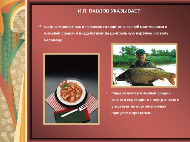 И.П. ПАВЛОВ УКАЗЫВАЕТ: организм животных и человека находится в тесной взаимосвязи с внешней средой и воздействует на центральную нервную систему человека; пища является внешней средой, которая переходит во внутреннюю и участвует во всех жизненных процессах организма. 