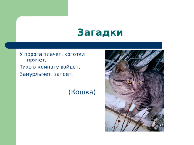 Загадки У порога плачет, коготки прячет, Тихо в комнату войдет, Замурлычет, запоет.  (Кошка) 