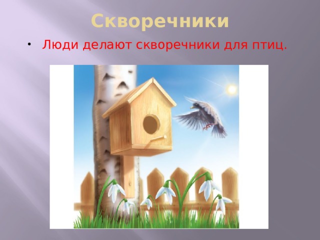 Скворечники Люди делают скворечники для птиц. 