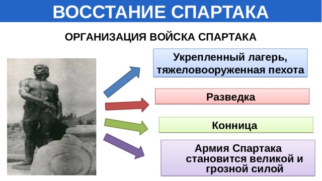 ВОССТАНИЕ СПАРТАКА ОРГАНИЗАЦИЯ ВОЙСКА СПАРТАКА Укрепленный лагерь, тяжеловооруженная пехота Разведка Конница Армия Спартака становится великой и грозной силой 
