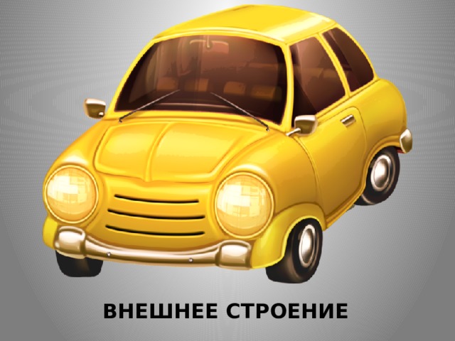  ВНЕШНЕЕ СТРОЕНИЕ 