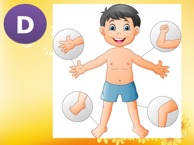 D 