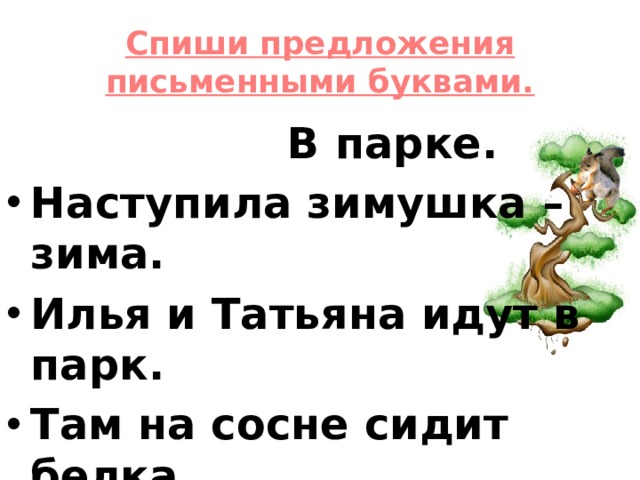 Спиши предложения письменными буквами.    В парке. Наступила зимушка – зима. Илья и Татьяна идут в парк. Там на сосне сидит белка. Белочка грызёт шишку. 