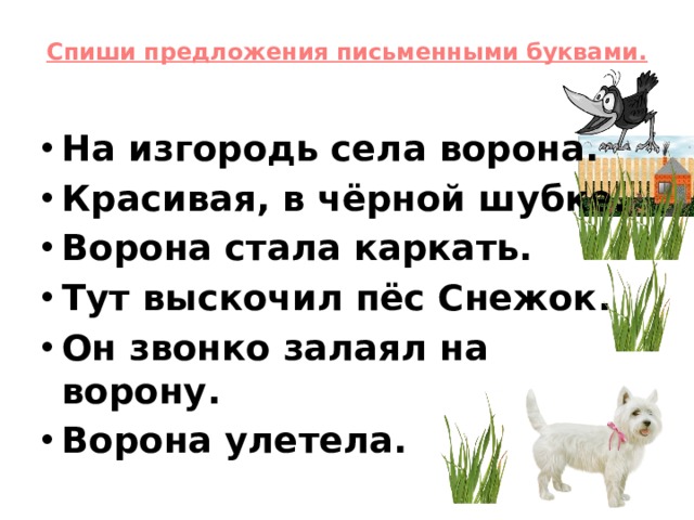 Спиши предложения письменными буквами.   На изгородь села ворона. Красивая, в чёрной шубке. Ворона стала каркать. Тут выскочил пёс Снежок. Он звонко залаял на ворону. Ворона улетела. 