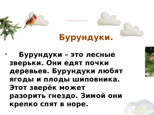 Спиши предложения письменными буквами.       Бурундуки.    Бурундуки – это лесные зверьки. Они едят почки деревьев. Бурундуки любят ягоды и плоды шиповника. Этот зверёк может разорить гнездо. Зимой они крепко спят в норе. 