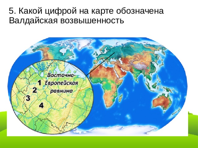 5. Какой цифрой на карте обозначена Валдайская возвышенность 