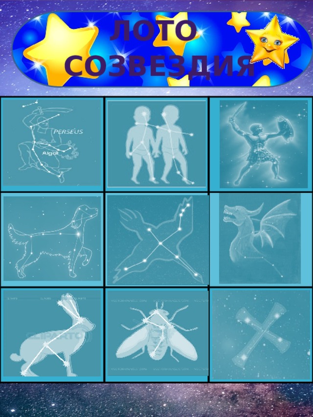 Лото  Созвездия Муха Южный крест 