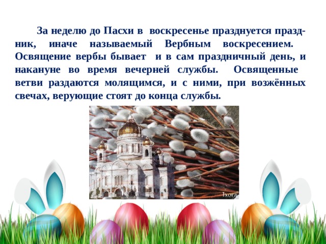  За неделю до Пасхи в воскресенье празднуется празд-  ник, иначе называемый Вербным воскресением.  Освящение вербы бывает и в сам праздничный день, и  накануне во время вечерней службы. Освященные  ветви раздаются молящимся, и с ними, при возжённых  свечах, верующие стоят до конца службы. 
