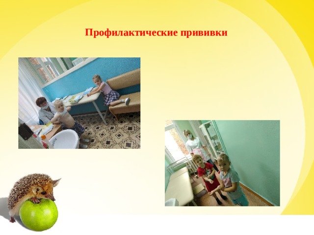 Профилактические прививки 