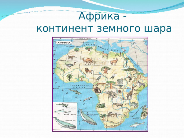Африка -  континент земного шара 