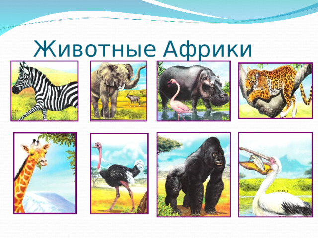 Животные Африки 