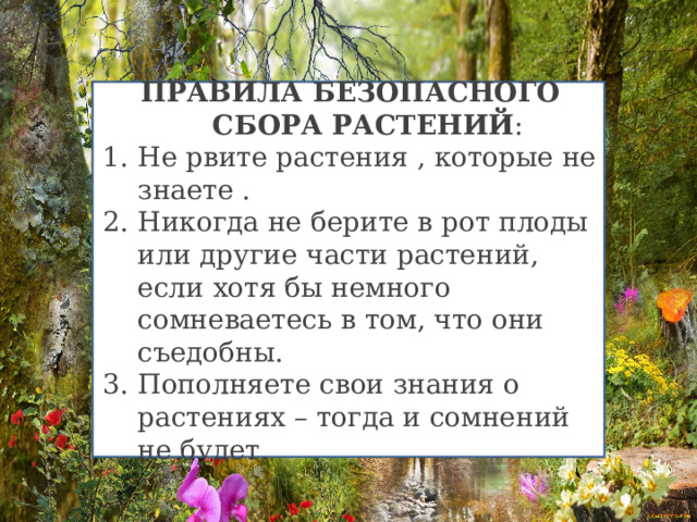 ПРАВИЛА БЕЗОПАСНОГО СБОРА РАСТЕНИЙ : Не рвите растения , которые не знаете . Никогда не берите в рот плоды или другие части растений, если хотя бы немного сомневаетесь в том, что они съедобны. Пополняете свои знания о растениях – тогда и сомнений не будет. 