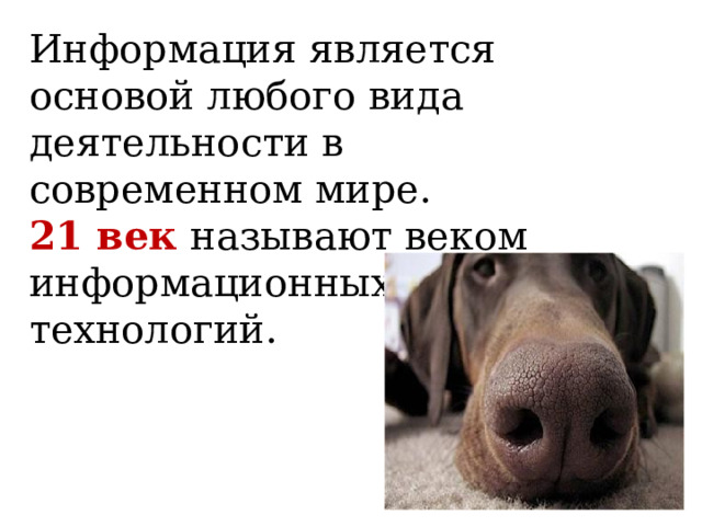 Информация является основой любого вида деятельности в современном мире. 21 век называют веком информационных технологий. 
