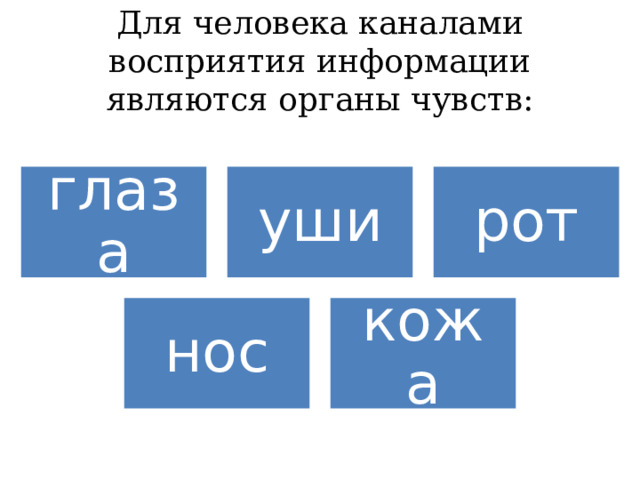 Для человека каналами восприятия информации являются органы чувств: глаза уши рот нос кожа 