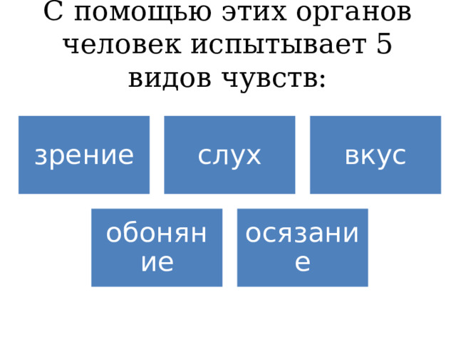 С помощью этих органов человек испытывает 5 видов чувств: зрение слух вкус обоняние осязание 