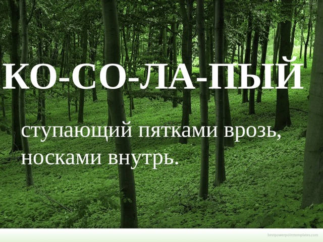 КО-СО-ЛА-ПЫЙ .   ступающий пятками врозь, носками внутрь. 