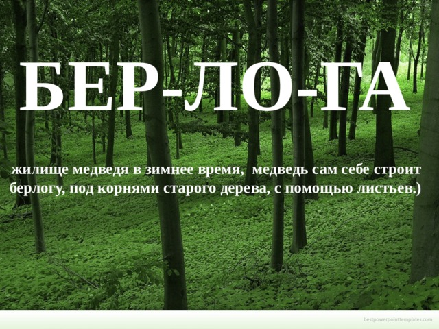  БЕР-ЛО-ГА ( жилище медведя в зимнее время,  медведь сам себе строит берлогу, под корнями старого дерева, с помощью листьев.) 