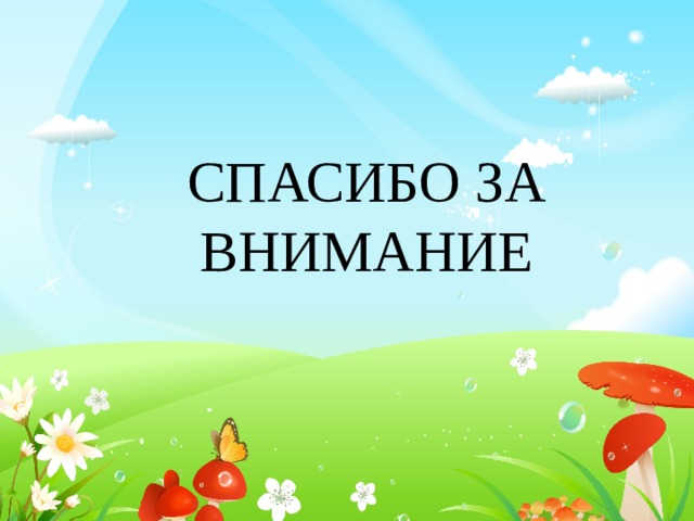 СПАСИБО ЗА ВНИМАНИЕ 