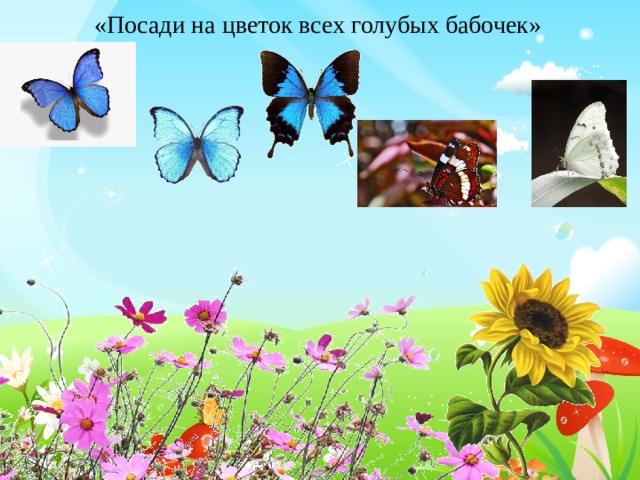 «Посади на цветок всех голубых бабочек» 