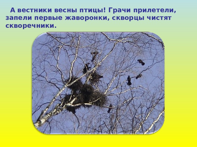  А вестники весны птицы! Грачи прилетели, запели первые жаворонки, скворцы чистят скворечники. 