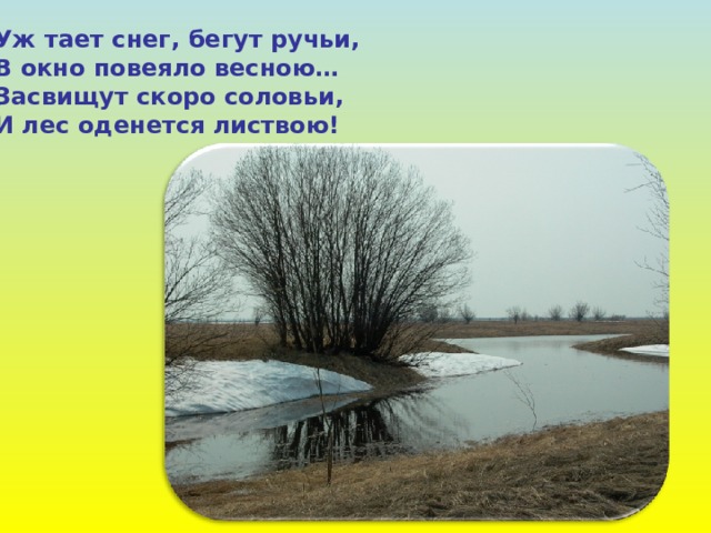 Уж тает снег, бегут ручьи, В окно повеяло весною… Засвищут скоро соловьи, И лес оденется листвою!  