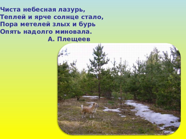 Чиста небесная лазурь, Теплей и ярче солнце стало, Пора метелей злых и бурь Опять надолго миновала.  А. Плещеев 