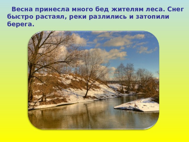  Весна принесла много бед жителям  леса. Снег быстро растаял, реки разлились и затопили берега. 