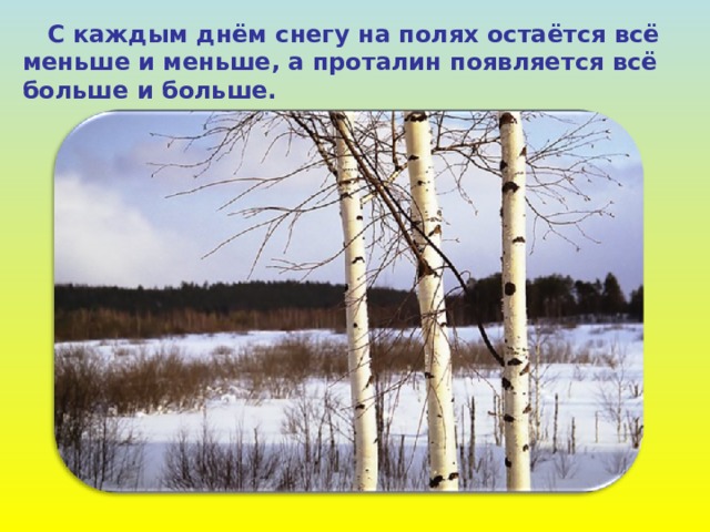  С каждым днём снегу на полях остаётся всё меньше и меньше, а проталин появляется всё больше и больше.  