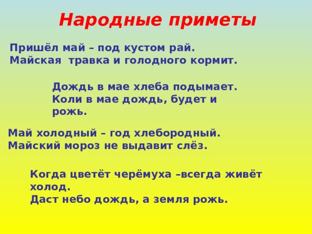 Народные приметы Пришёл май – под кустом рай. Майская травка и голодного кормит. Дождь в мае хлеба подымает. Коли в мае дождь, будет и рожь. Май холодный – год хлебородный. Майский мороз не выдавит слёз. Когда цветёт черёмуха –всегда живёт холод. Даст небо дождь, а земля рожь. 