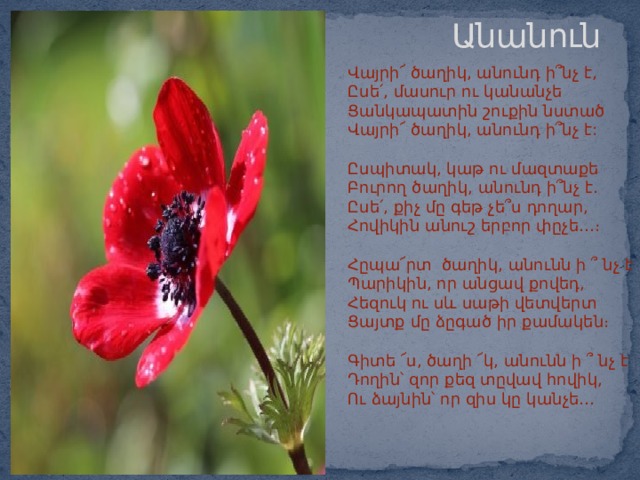 Անանուն   Վայրի՜ ծաղիկ, անունդ ի՞նչ է,  Ըսե ՛ , մասուր ու կանանչե  Ցանկապատին շուքին նստած  Վայրի՜ ծաղիկ, անունդ ի՞նչ է:   Ըսպիտակ, կաթ ու մազտաքե  Բուրող ծաղիկ, անունդ ի՞նչ է․  Ըսե ՛ , քիչ մը գեթ չե՞ս դողար,  Հովիկին անուշ երբոր փըչե․․․։    Հըպա ՜ րտ ծաղիկ, անունն ի ՞ նչ է  Պարիկին, որ անցավ քովեդ,  Հեզուկ ու սև սաթի վետվերտ  Ցայտք մը ձըգած իր քամակեն։   Գիտե ՜ս, ծաղի ՜կ, անունն ի ՞ նչ է  Դողին՝ զոր քեզ տըվավ հովիկ,  Ու ձայնին՝ որ զիս կը կանչե․․․ 