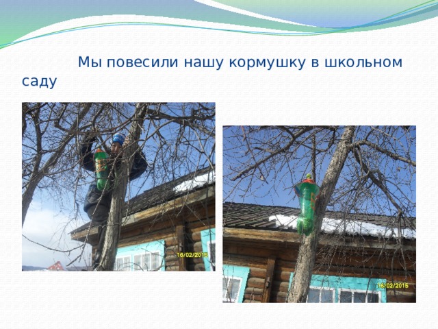  Мы повесили нашу кормушку в школьном саду 