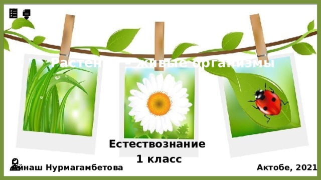 Растения – живые организмы Естествознание 1 класс Айнаш Нурмагамбетова Актобе, 2021 