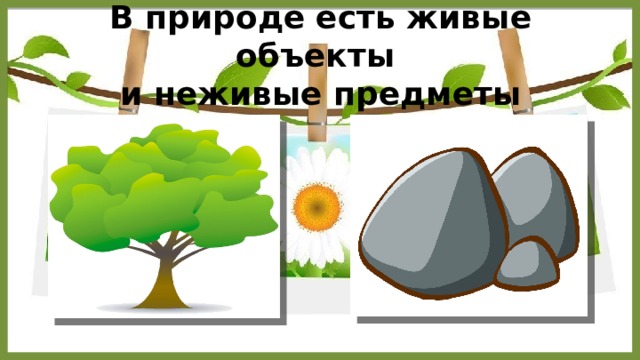 В природе есть живые объекты  и неживые предметы  