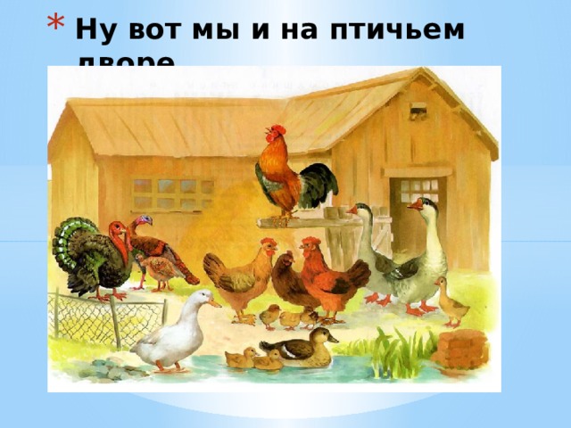 Ну вот мы и на птичьем дворе. 