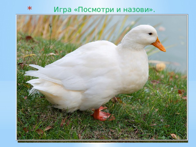 Игра «Посмотри и назови». 