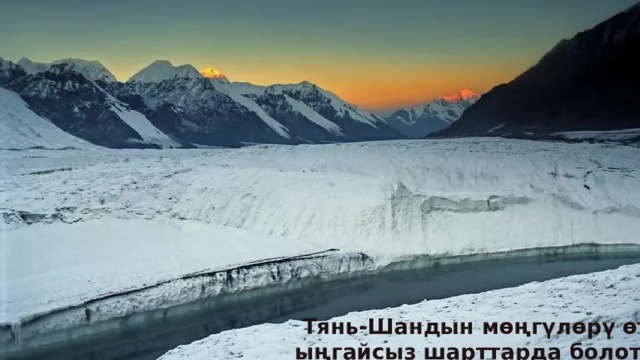  Тянь-Шандын мөңгүлөрү өтө ыңгайсыз шарттарда болот. 