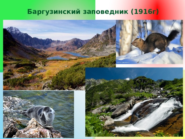 Баргузинский заповедник (1916г) 