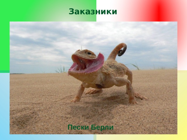 Заказники Территории с менее строгим режимом охраны — заказники. Здесь разрешены некоторые виды хозяйственной деятельности, если они не наносят вреда охраняемым объектам (выпас скота, сенокос и др.). Заказники бывают разных видов: комплексные, биологические, палеонтологические, геологические. В России насчитывается более 1600 государственных природных заказников (60 млн га), из них 69 государственных природных заказников федерального значения (12,5 млн га). Крупнейший государственный природный заказник — Земля Франца-Иосифа, занимающий одноимённый архипелаг (4,2 млн га). Пески Берли 
