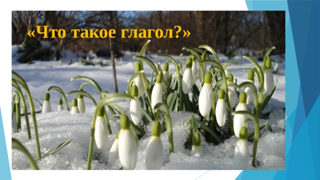 «Что такое глагол?» 