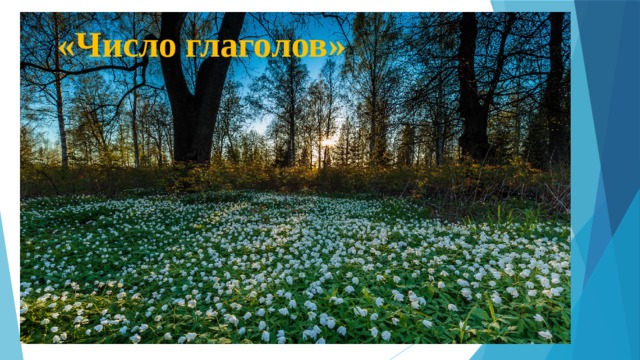 «Число глаголов» 