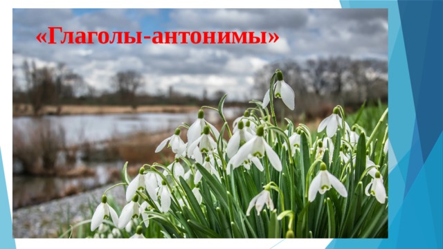 «Глаголы-антонимы» 